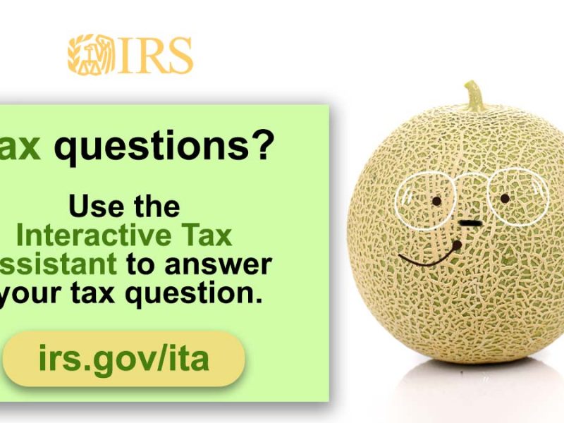 Tax questions have you feeling melon-choly? The Interactive Tax Assistant